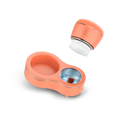 Rowenta No Flaws Facial Brush LV4010